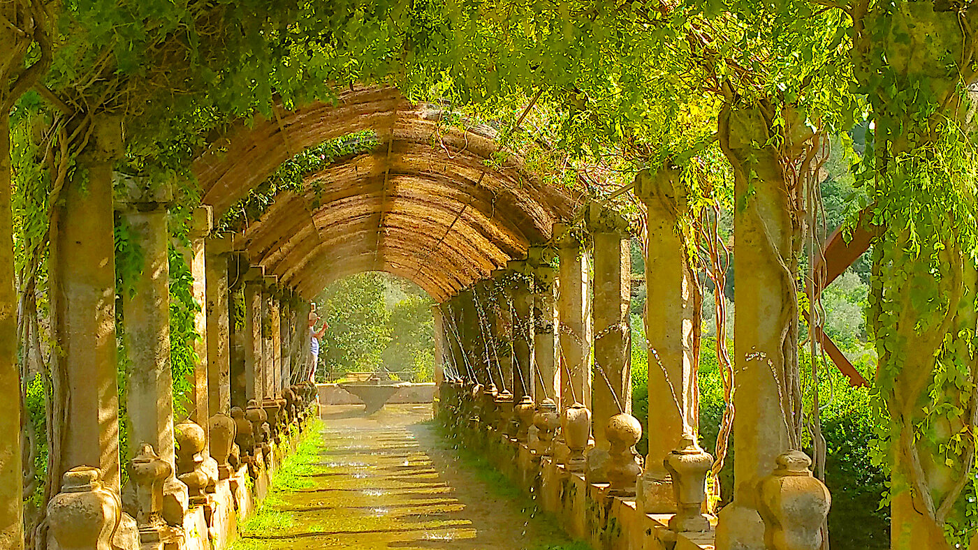 Сады Альфабия - Сольер (Соллер) – Пуэрто де Соллер – Льюкский монастырь