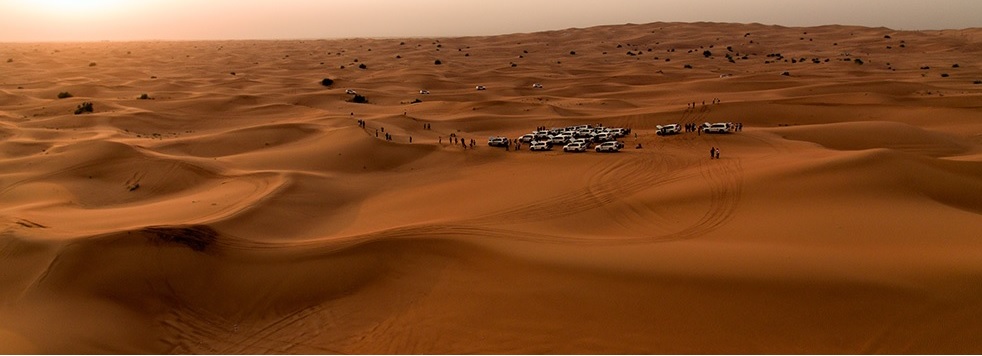 Вечернее пустынное сафари