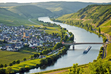 Две реки: Мозель и Рейн. 