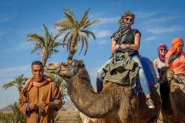 Катание на верблюдах в Агадире
