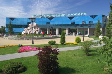 Поездка по детской железной дороге и посещение Новосибирского зоопарка