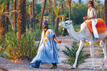 Катание на верблюдах в Марракеше
