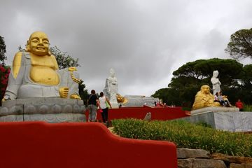 Необычная экскурсия: «Посещение Парка Буд»